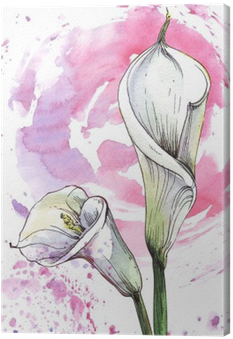 Flower Calla Watercolor Illustration Canvas Print • - Watercolor Painting (400x400), Png Download