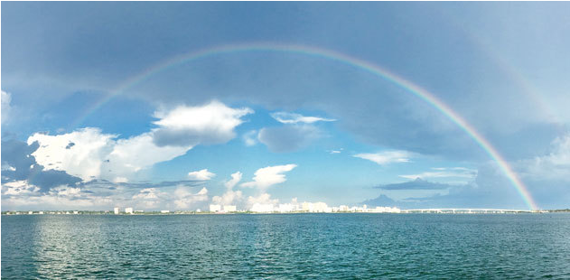 Florida And Sarasota Are Amazing - Florida (870x580), Png Download