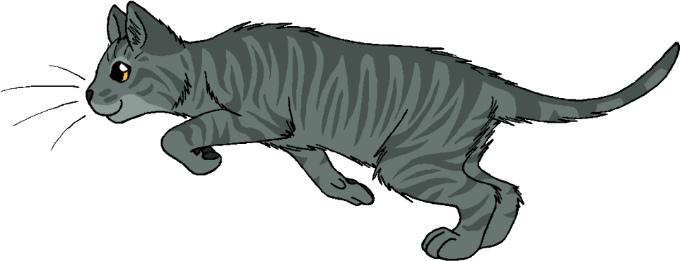 Bloomheart - Wildpathofshadowclan Thunderclan (1024x406), Png Download