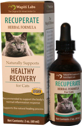 Recuperate For Cats - Wapiti Labs Dog Recuperate Formula (450x450), Png Download