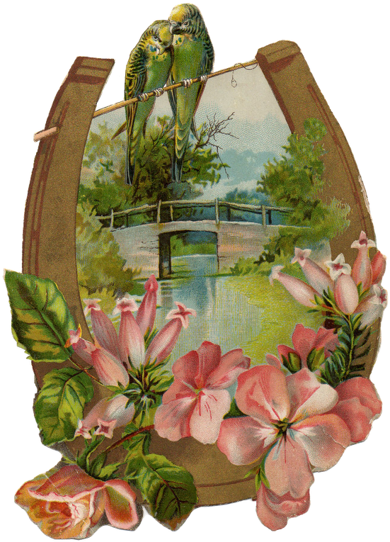 Img151a1 - Garden Roses (600x800), Png Download