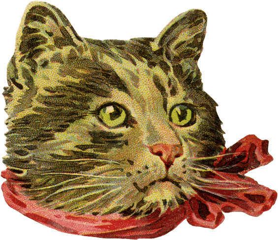 Vintage Cat - Sass & Belle Cat Dress Up Coasters - Set Of 4 (595x539), Png Download