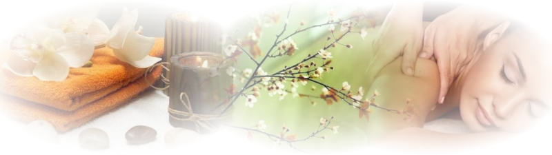 Http - //bodysensedayspa - Co - Za/full - Htm - Teacup (800x225), Png Download
