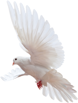 First Name - Blessing Of The Lord: Riches, Wealth (371x478), Png Download