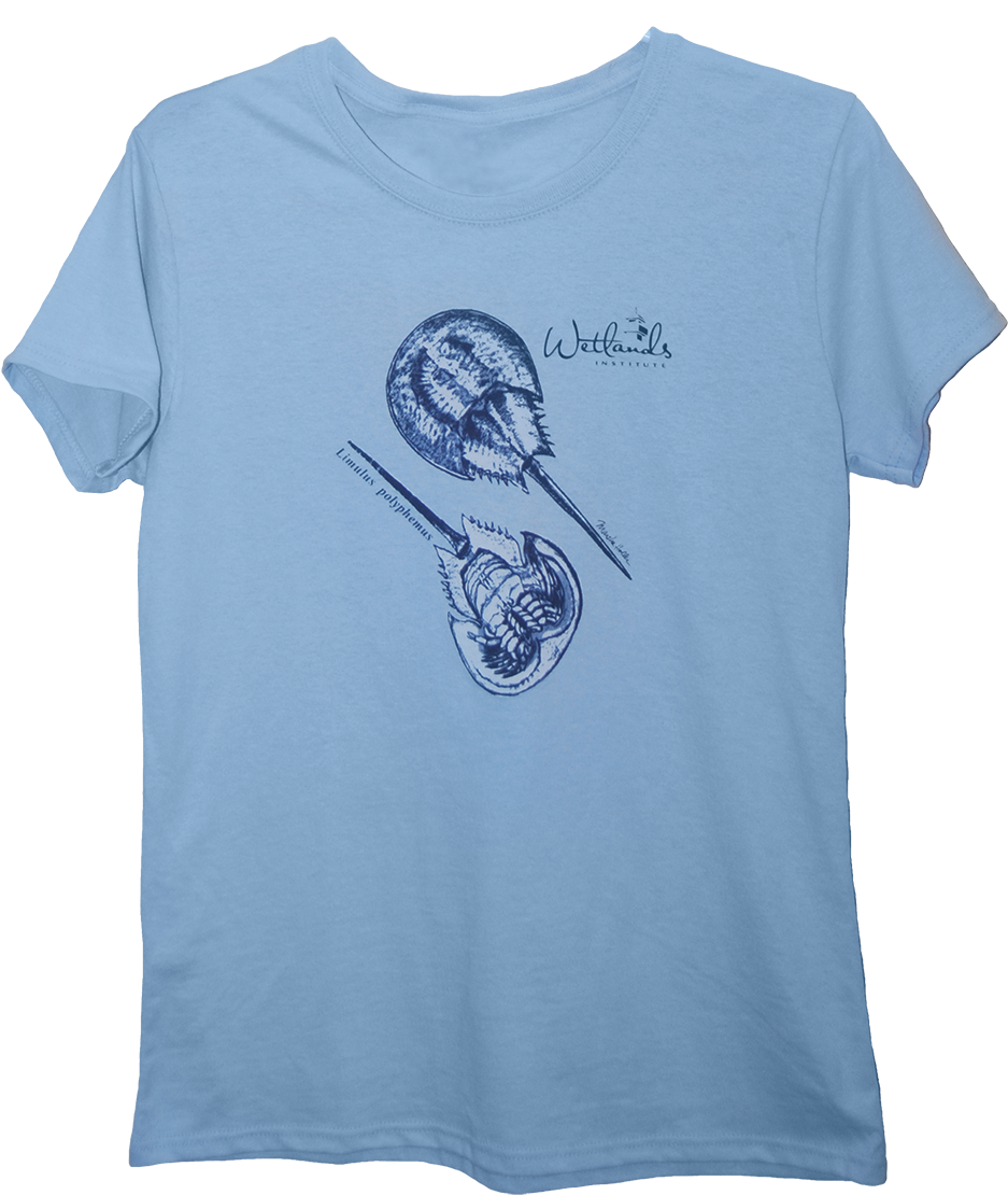 Marsha's Collection T-shirts (1024x1230), Png Download