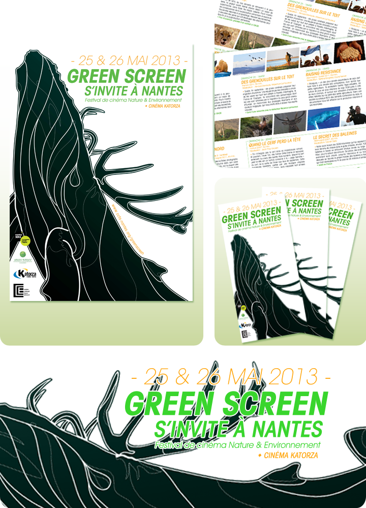 Ccfa Green Screen (720x999), Png Download