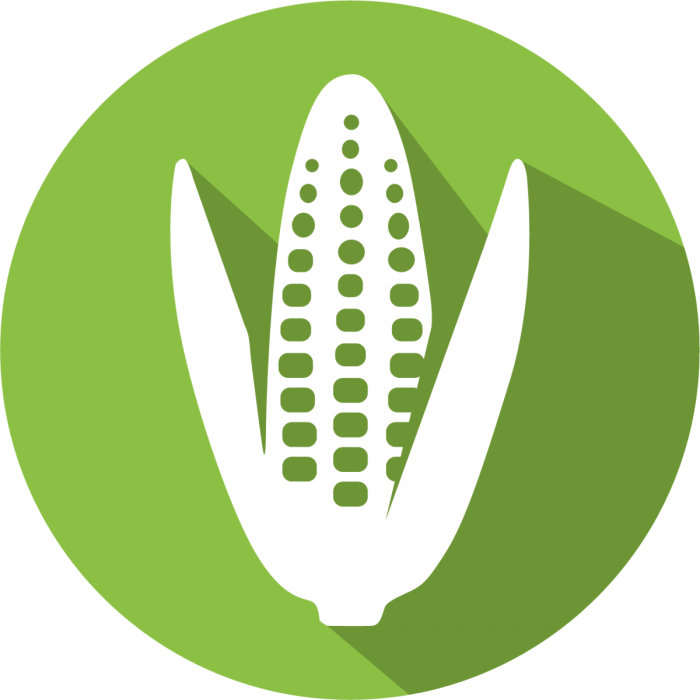 Green Screen Png (700x700), Png Download