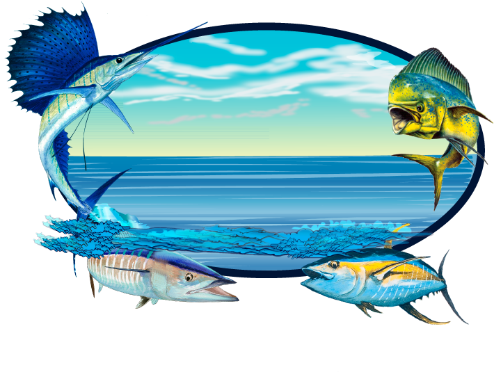 Sailfish Clipart Wahoo (720x595), Png Download