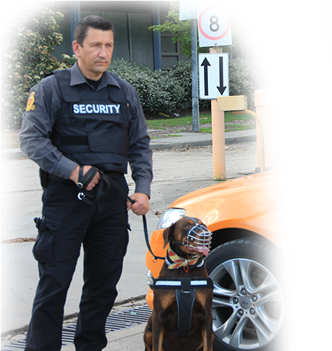 Hire Guards For Security Melbourne Metropolitan Guards (576x604), Png Download