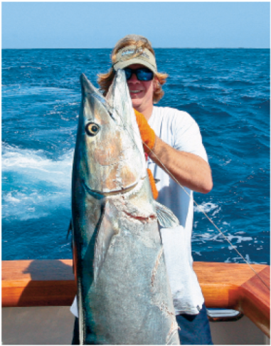 With Ongoing Research Anglers Are Hoping To Gain Insight (800x485), Png Download