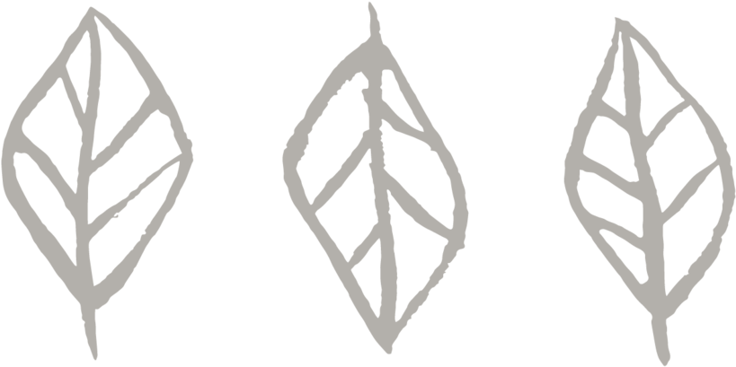 Leafs Only-03 (1000x480), Png Download