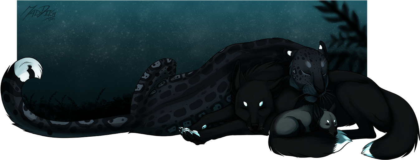 Serenity (1370x558), Png Download