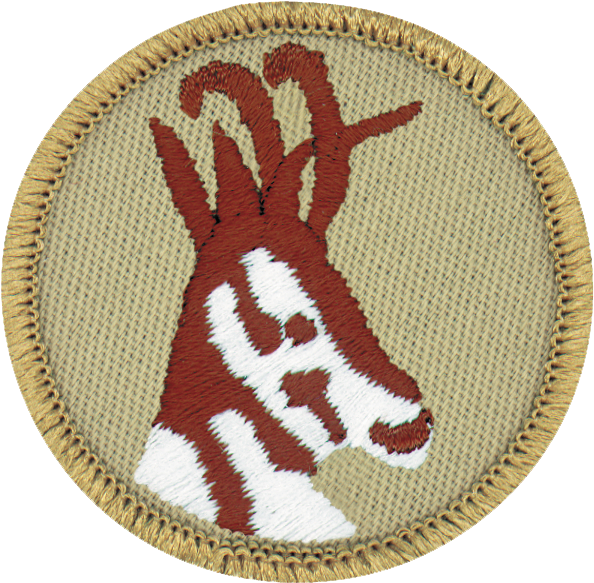 Antelope (639x649), Png Download