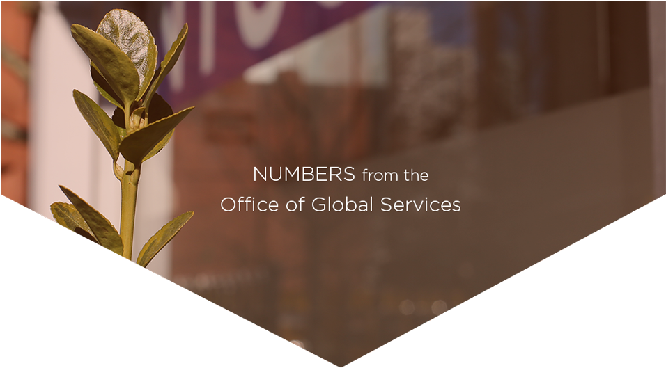 Nyu International Students (955x619), Png Download