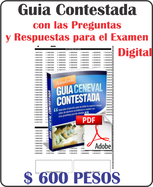 Ventaguia3 (519x636), Png Download
