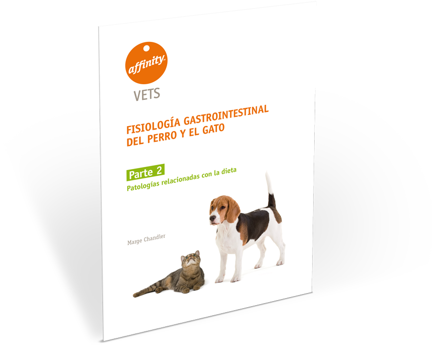 Guía Gastrointestinal Parte (900x900), Png Download