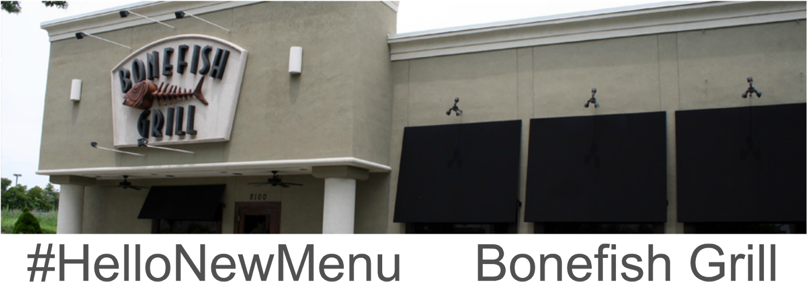 Try The New Menu At Bonefish Grill (1600x591), Png Download