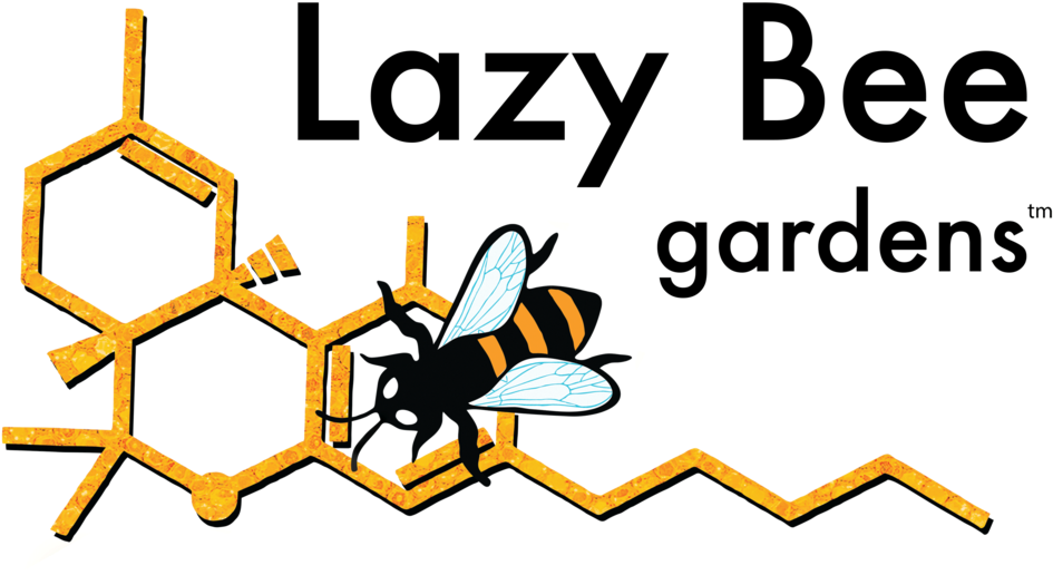 Lb Logo Orange Orange Format=1500w (1000x553), Png Download