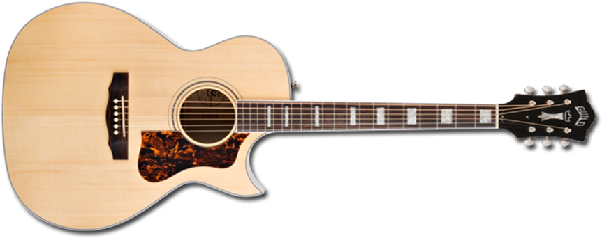 Guild Grand Orchestra Traditional F 47mc W D Tar® (872x367), Png Download