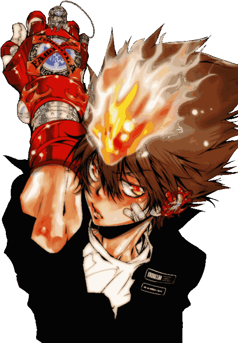 The Reborn Story Revolves Around A Boy Named Tsunayoshi (500x716), Png Download