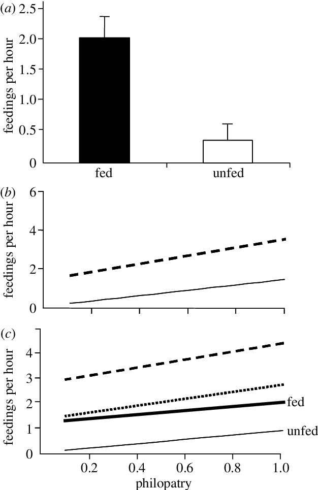 Results Of Glms On The Effect Of Food Supplementation (626x965), Png Download