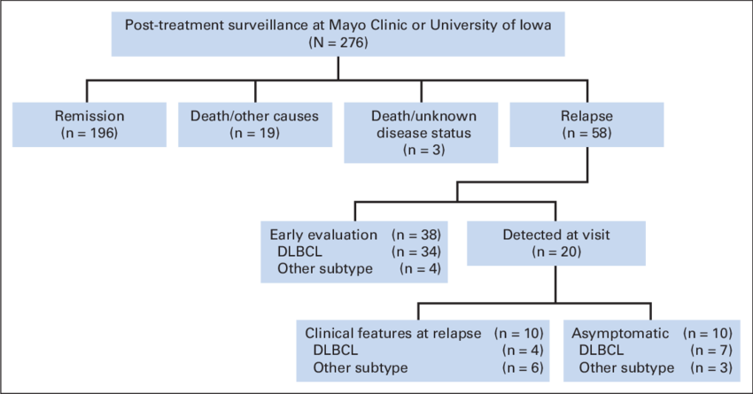 Flowchart In Patients Followed At Mayo Clinic Or University (850x445), Png Download