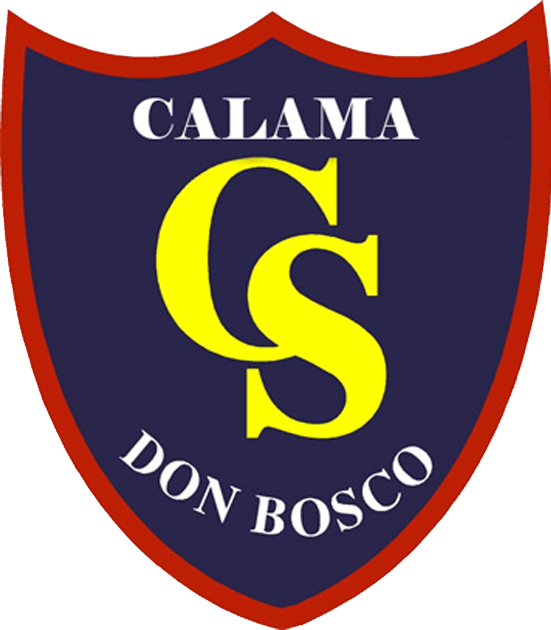 Don Bosco Calama (551x630), Png Download