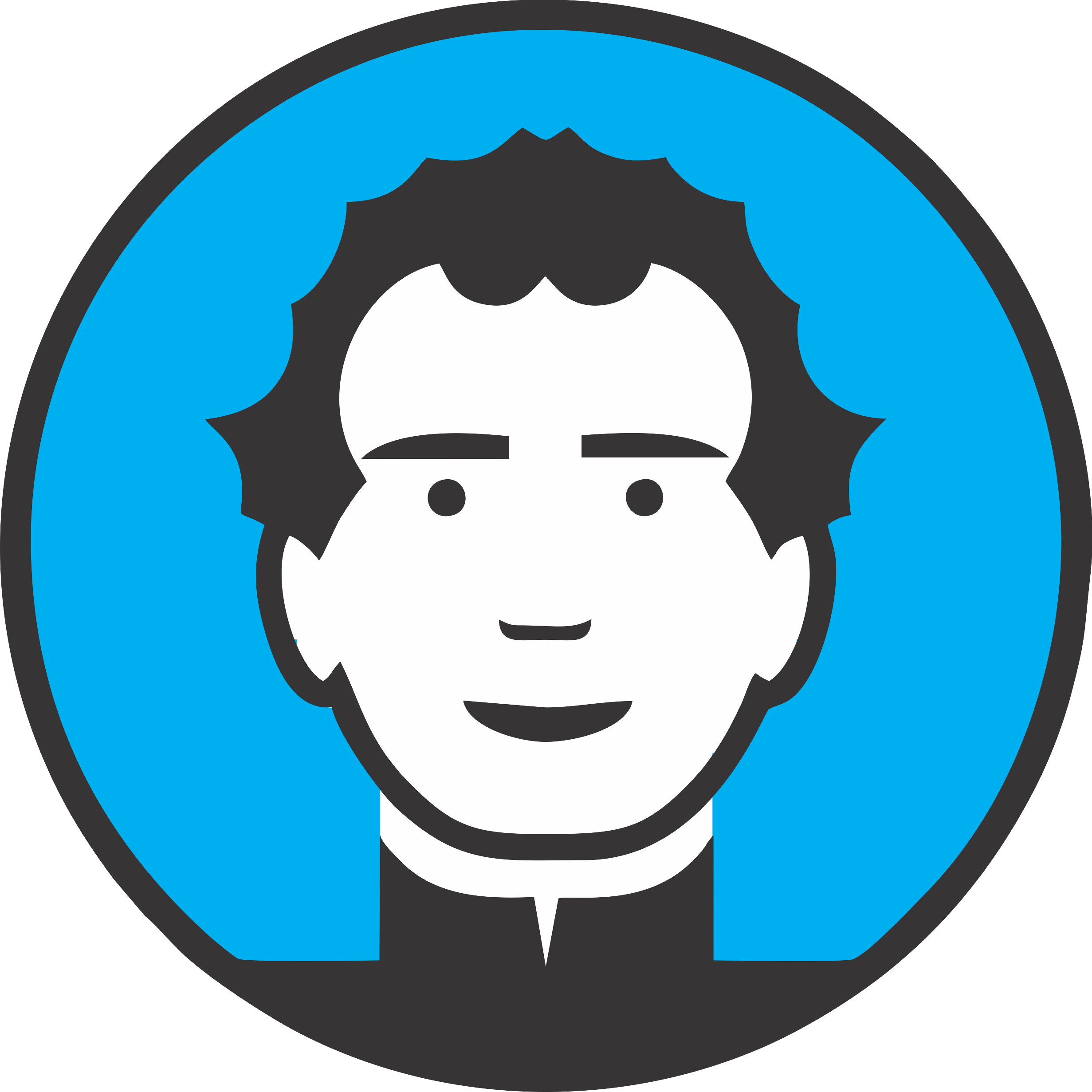 Site Ul Centrului De Formare Profesională Don Bosco (2462x2461), Png Download