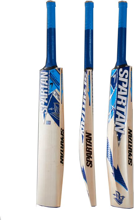 Msd Warrior (570x713), Png Download