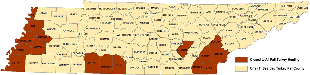 Running Turkey Png (1098x400), Png Download