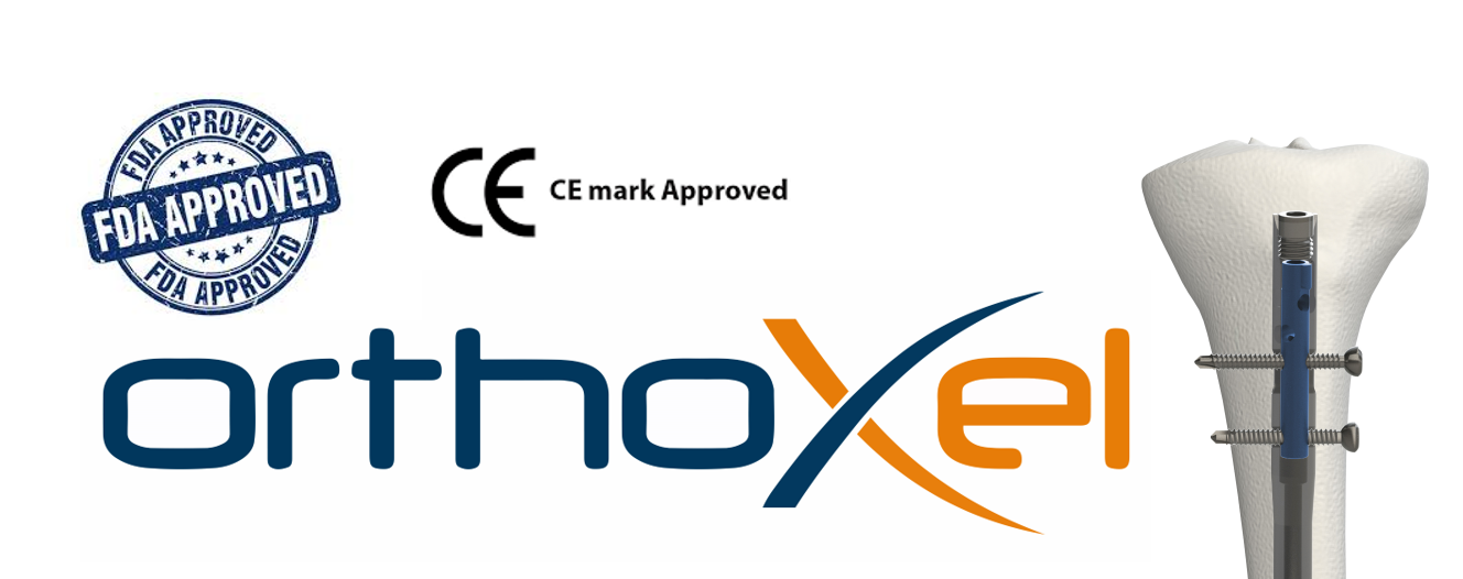 Great Start To For Orthoxel Exciting Year Ahead As (1328x526), Png Download