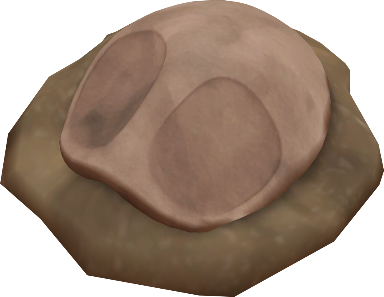 Fossil (1280x989), Png Download