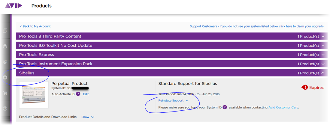 Reinstating Support In Your Av (1099x417), Png Download