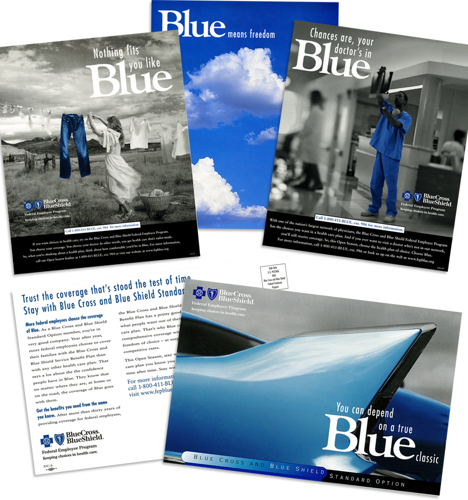 Blue Cross Blue Shield Of Michigan (960x1026), Png Download