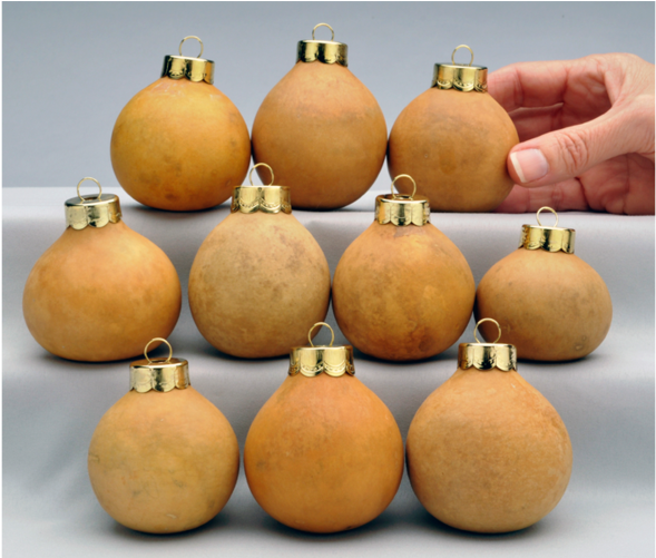 Craft-ready Gourd Ornaments (1000x500), Png Download