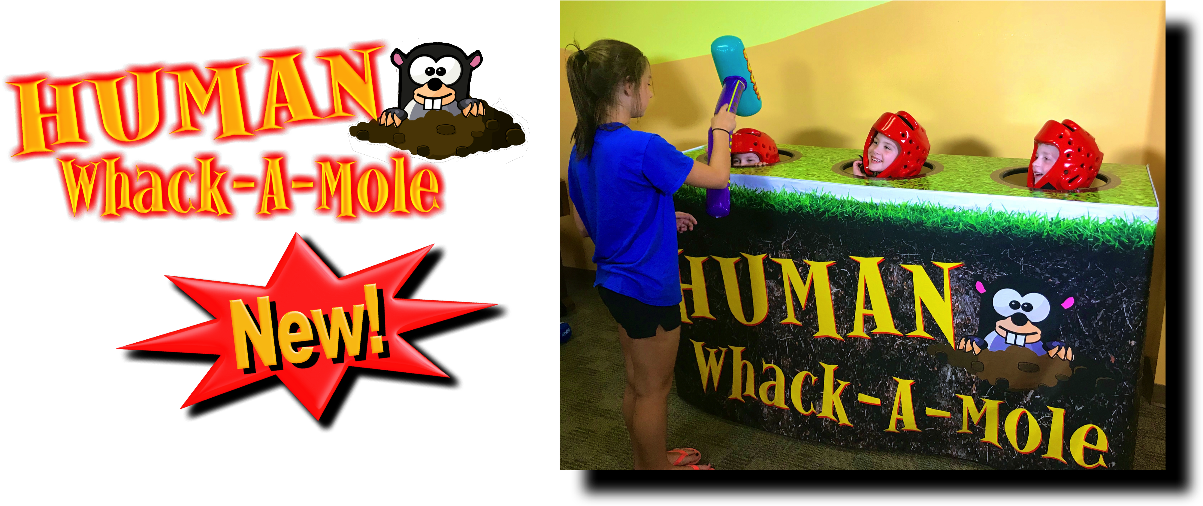 Click Here For More Information On The Human Whack (4110x1800), Png Download