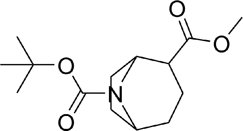 Octane Png (800x800), Png Download