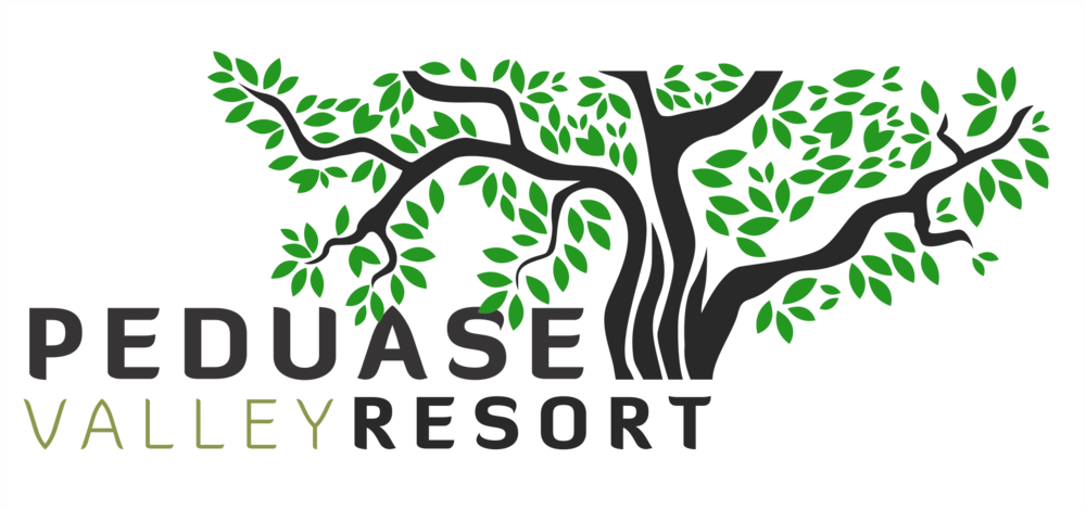 Peduase Valley Resort (1000x470), Png Download