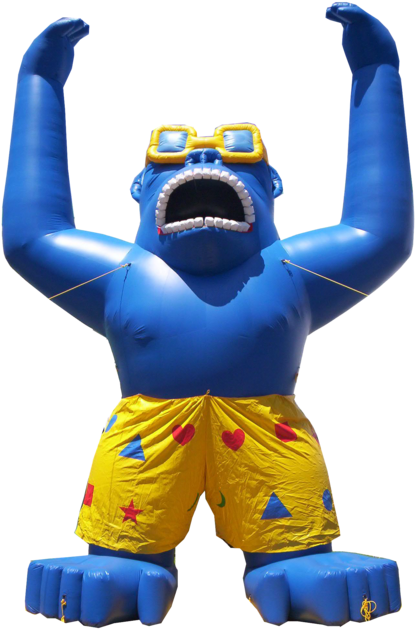 Below, A Collection Of Kongs In Various Colors And (500x674), Png Download