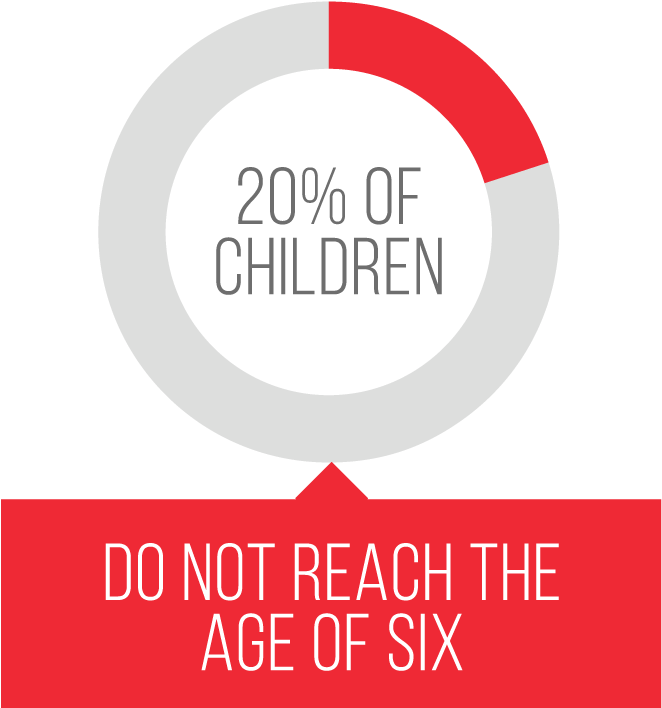 20% Of Children Do Not Reach The Age Of Six (1500x707), Png Download