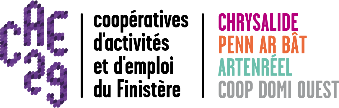 Logo Cae 29 Global (1148x366), Png Download