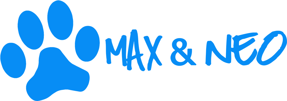 Max And Neo Logo V3 (1000x369), Png Download
