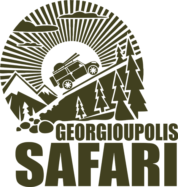 Safari Logo Png (600x632), Png Download