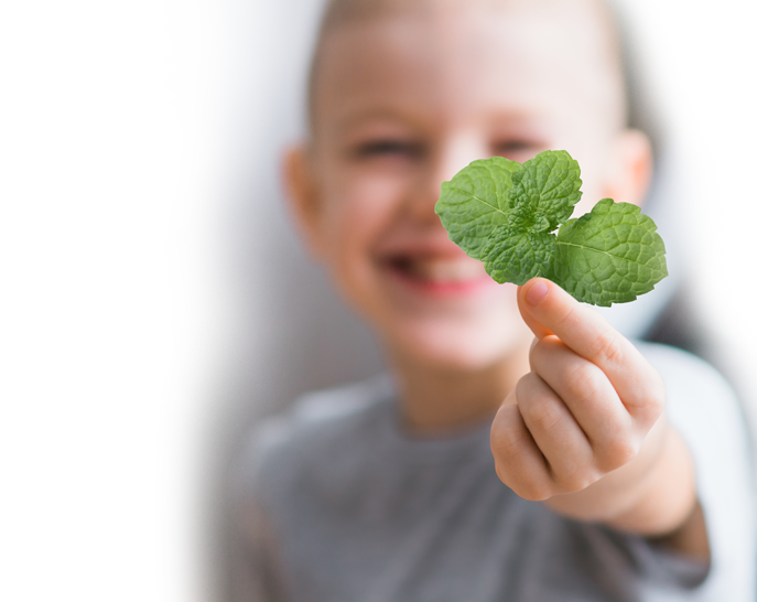 Menthol For Fast, Cooling Itch Relief And Ceramides (687x546), Png Download