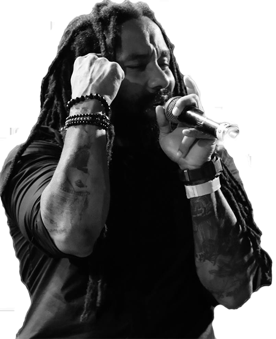 30 Sep Marley-png (556x682), Png Download