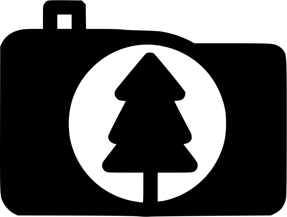 Forest Trees Photography Comments (981x740), Png Download