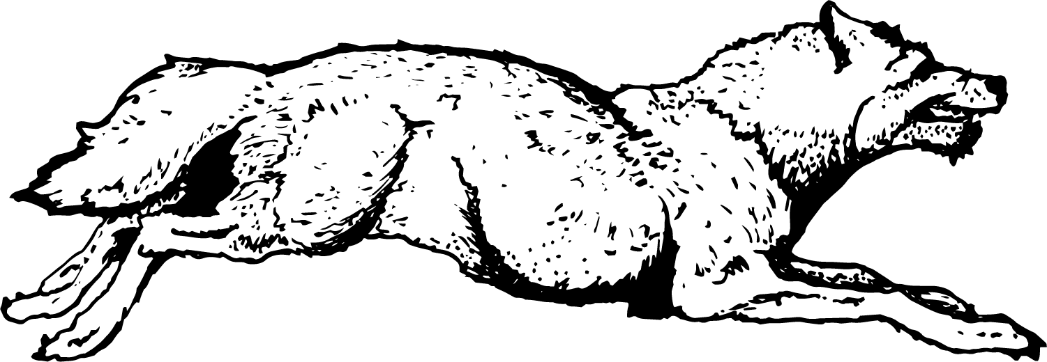 Wolf (1501x520), Png Download
