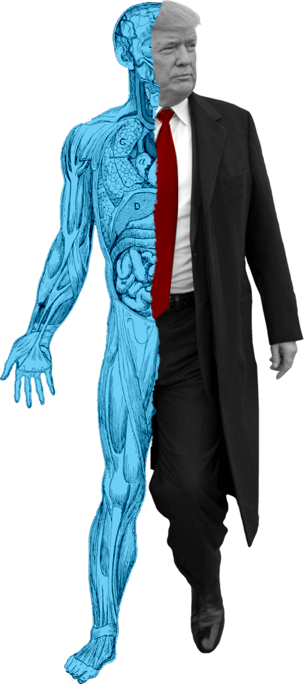 The President Had His Appendix Removed At The Age Of (966x2174), Png Download