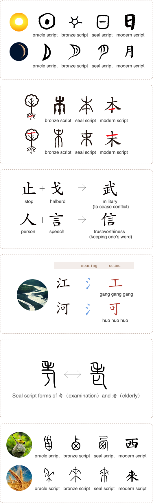 Analysing The Form Of 來 (529x1740), Png Download