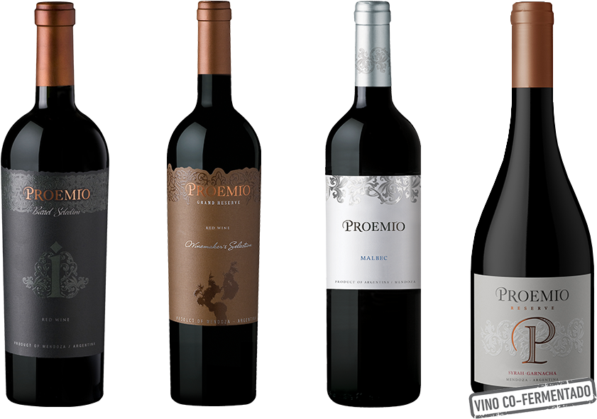 Our Wines (1000x650), Png Download